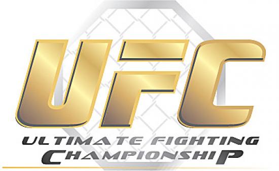 EA Sports разрабатывает MMA-файтинг с лицензией UFC